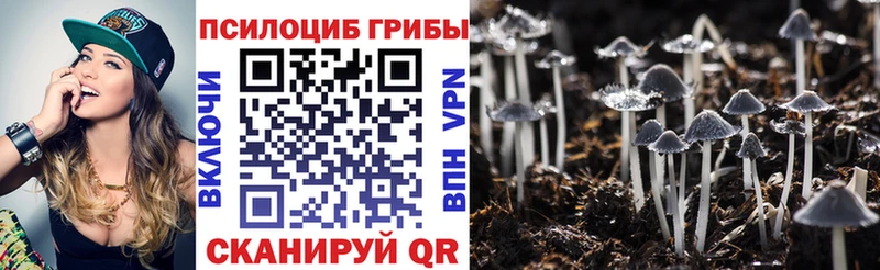 Псилоцибиновые грибы мицелий  наркота  Орёл 